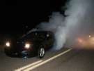 Firebird Firebird