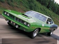 Barracuda Barracuda