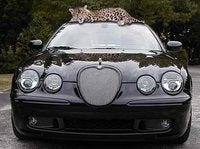 2005 Jaguar S-TYPE R Overview