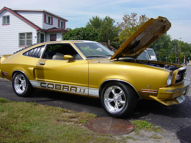 1976 Ford Mustang - Pictures - CarGurus