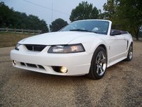 Mustang SVT Cobra Mustang SVT Cobra