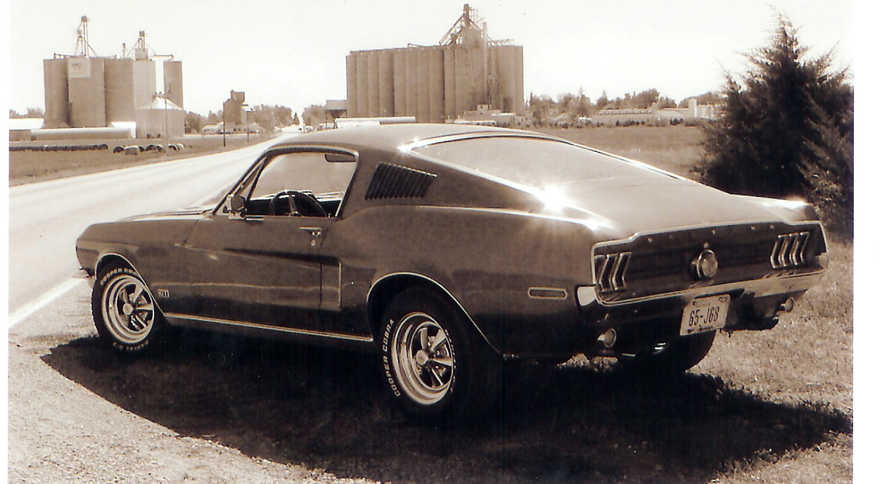 1968 Ford mustang fastback body for sale #2