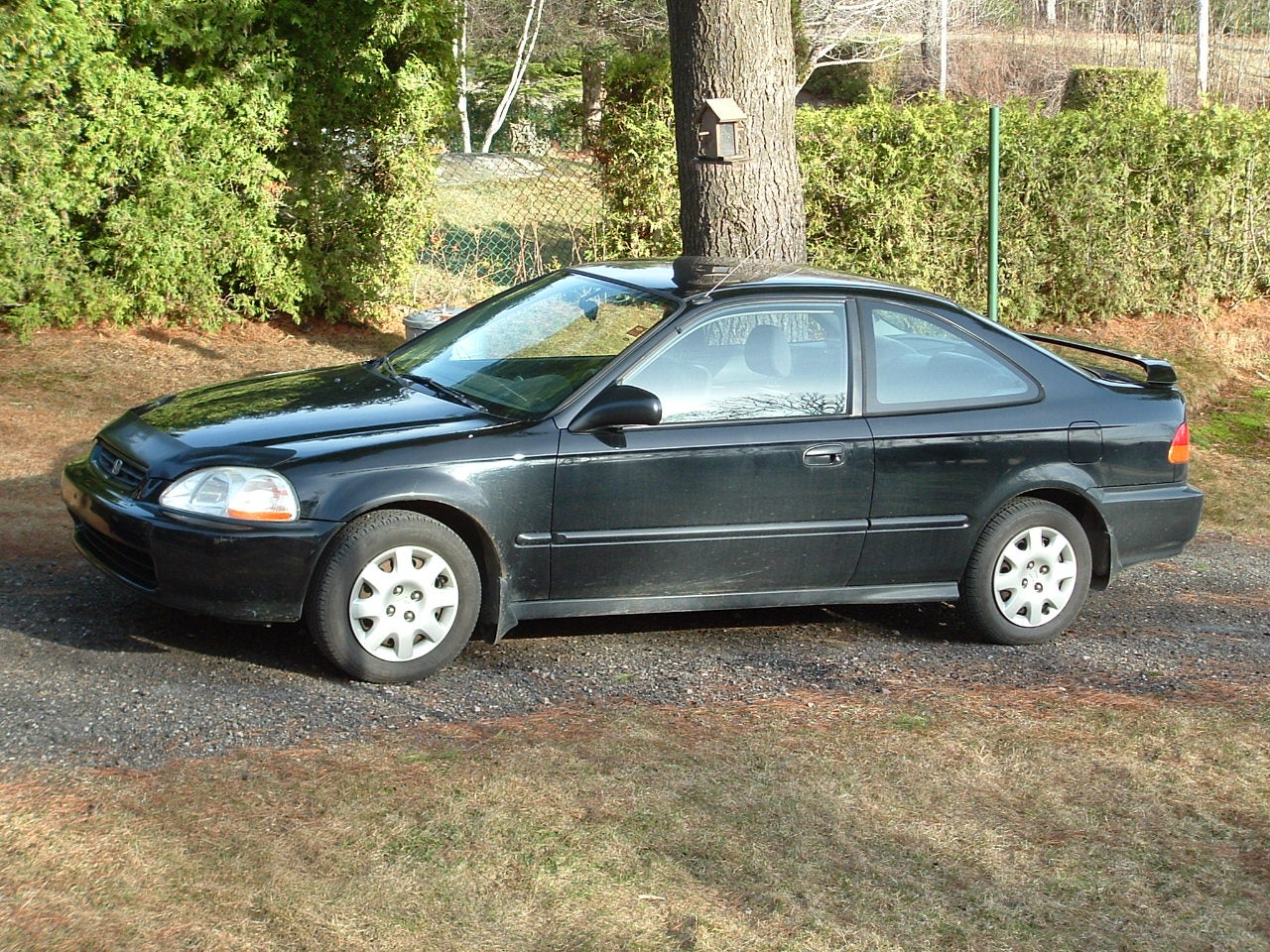 1998 Honda Civic Coupe - Pictures - CarGurus