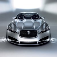 XF XF