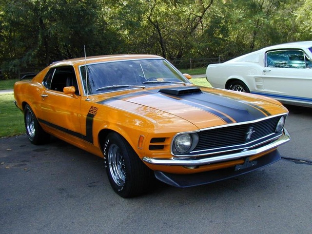1970 Ford Mustang - Pictures - CarGurus