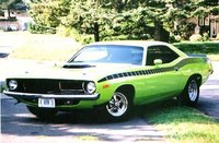 Barracuda Barracuda