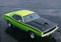 Barracuda Barracuda