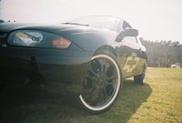 Cavalier Cavalier