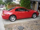 Mustang SVT Cobra Mustang SVT Cobra