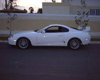 Supra Supra