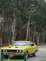 Falcon Falcon