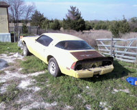 Firebird Firebird