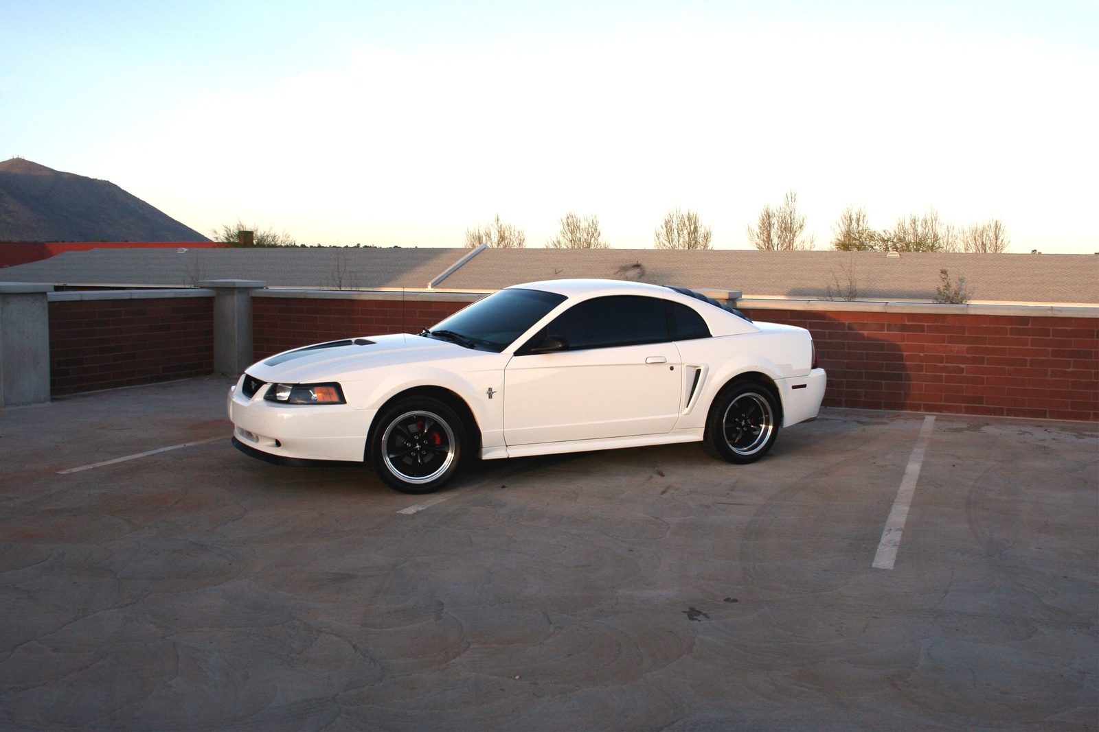 2000 Ford mustang base #2