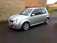 Lupo Lupo
