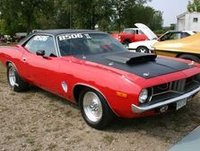 Barracuda Barracuda
