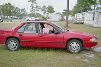 Lumina Lumina