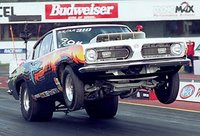 Barracuda Barracuda