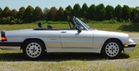 1987 Alfa Romeo Spider Overview Cargurus