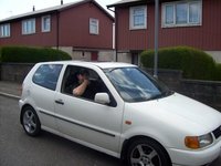 Polo Polo