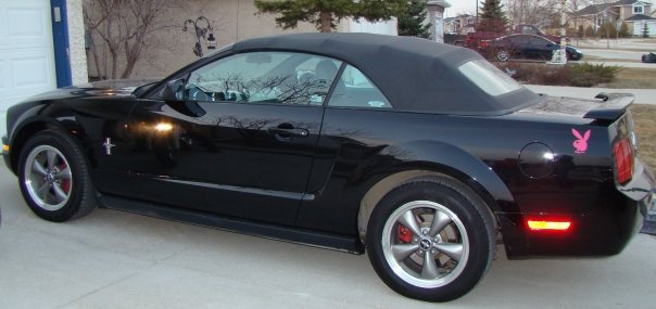 2006 Ford mustang v6 deluxe convertible #3