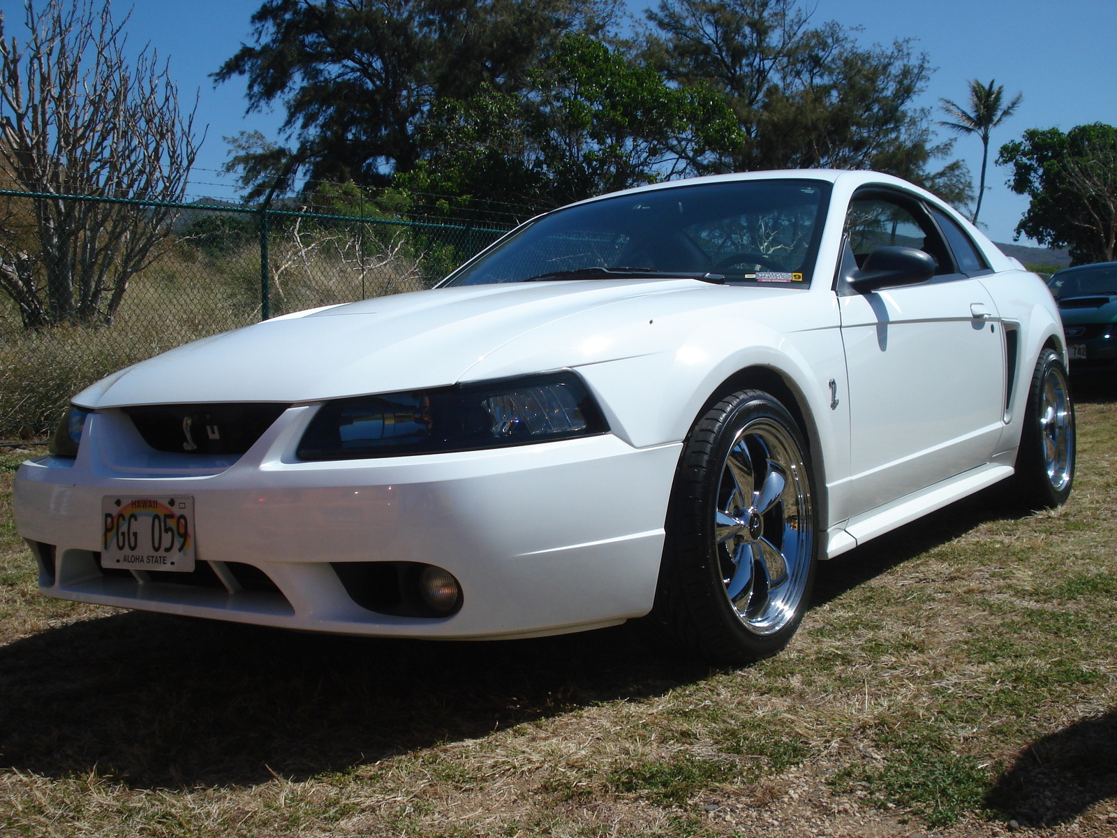 1999 Ford mustang cobra coupe #6