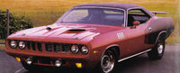 Barracuda Barracuda