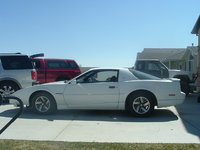 Firebird Firebird