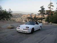Supra Supra