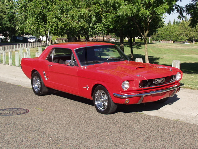 1966 Ford Mustang - Pictures - CarGurus