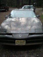 Firebird Firebird