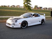 Supra Supra