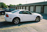 Mustang SVT Cobra Mustang SVT Cobra