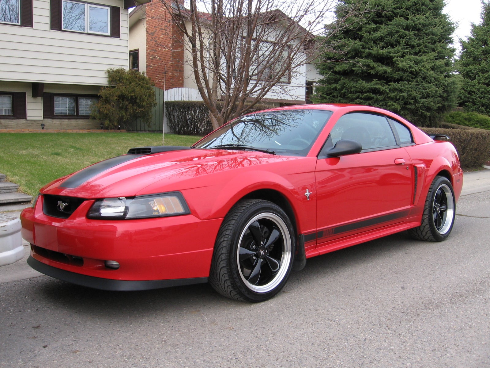2003 Ford Mustang - Exterior Pictures - CarGurus