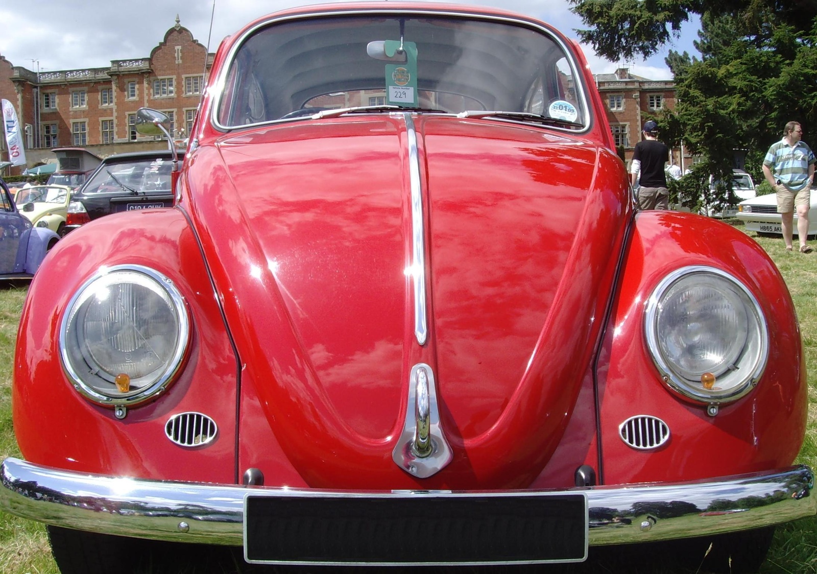 1966 Volkswagen Beetle - Pictures - CarGurus