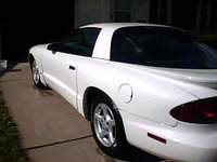Firebird Firebird