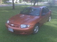 Cavalier Cavalier