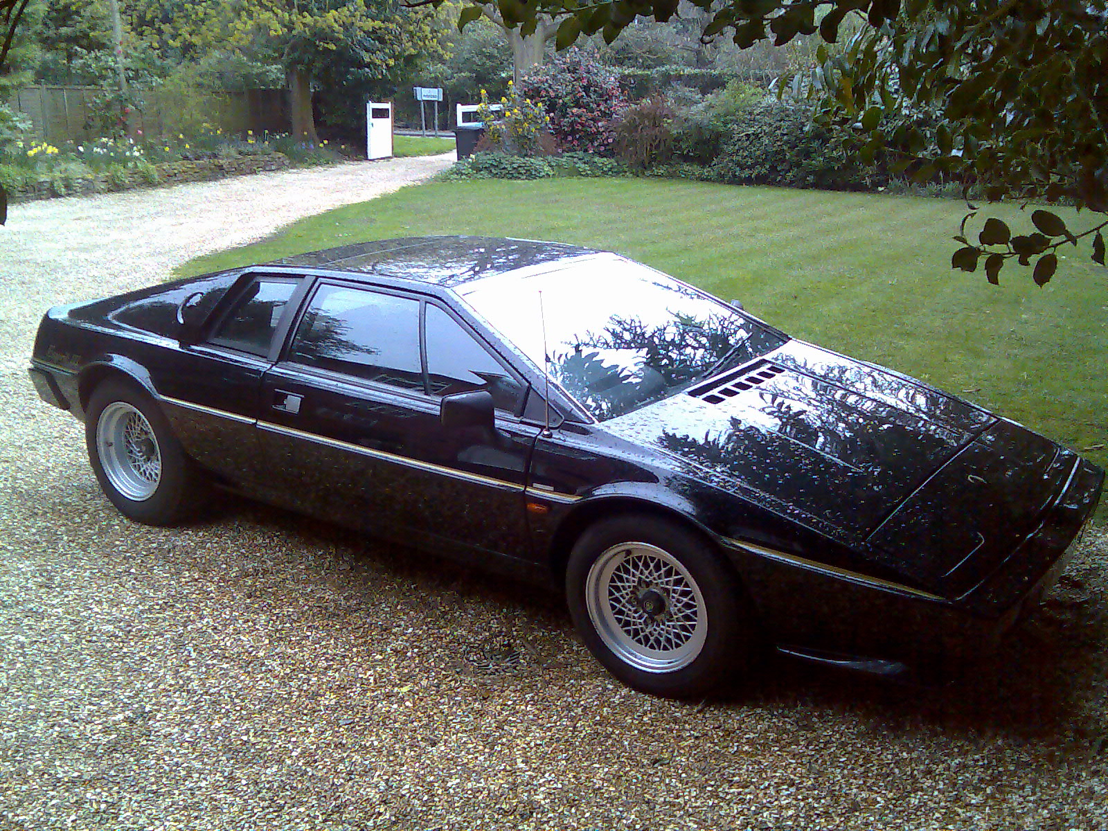 1982 Lotus Esprit - Pictures - CarGurus