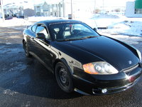 Tiburon Tiburon
