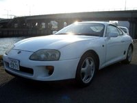 Supra Supra