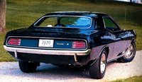 Barracuda Barracuda