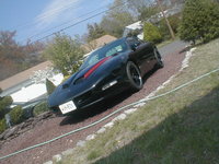 Firebird Firebird