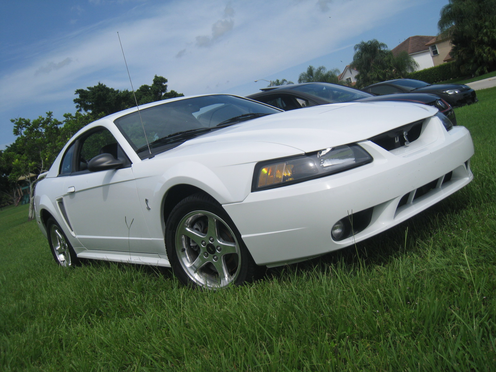 2001 Ford mustang cobra svt coupe specs #4