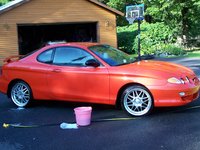 Tiburon Tiburon