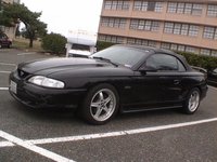 1998 Ford Mustang Pictures Cargurus