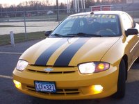 Cavalier Cavalier
