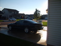 Firebird Firebird