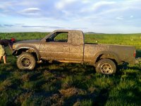 1991 Toyota Pickup Pictures Cargurus