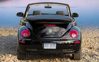 Beetle Beetle