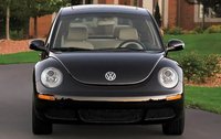 Beetle Beetle