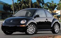 Beetle Beetle